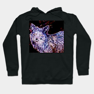 Happy Fox Hoodie